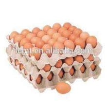 30 Eier Eier Casing Kartons Tablett zum Verkauf